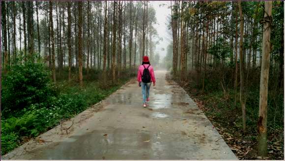 柳州周边游：在雨雾中感受快乐