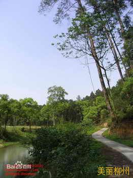 柳州周边游：君武森林公园