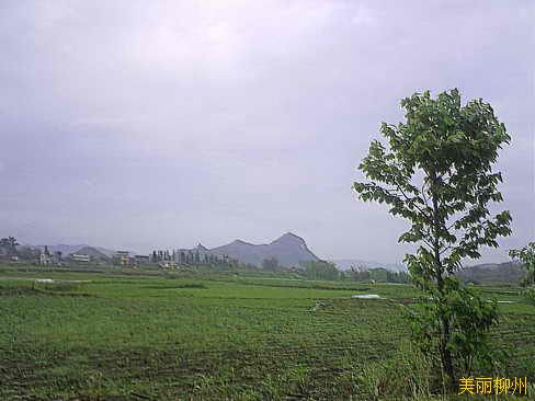 柳州周边：雨中再徒枫木水库
