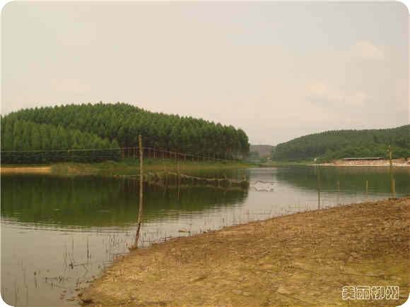 柳州周边游：古木坳山林徒步记