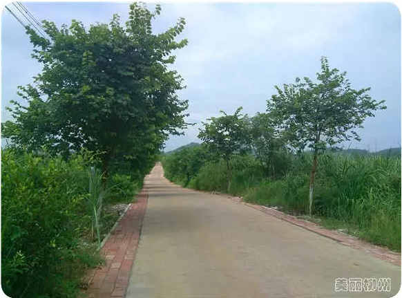 柳州周边游：一条适合骑行的线路