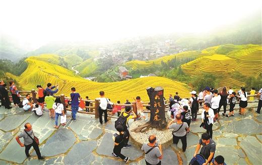 柳州周边游：龙脊梯田的“黄金周”