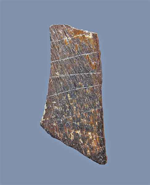 “许昌人”遗址发现 约11万年前人工刻划图案