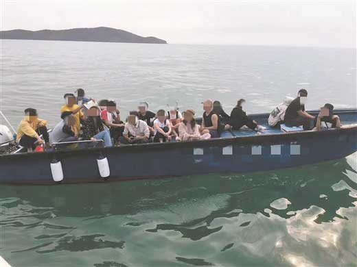 观鲸催生灰色利益链 北海斩链护鲸