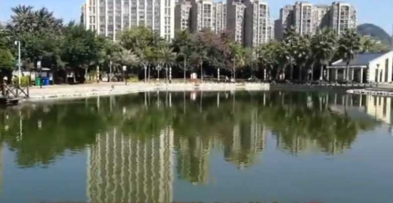 柳州休闲游：有山有水的微型公园
