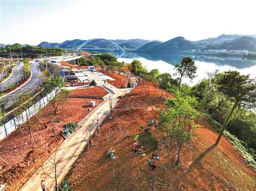 柳州滨江生态公园继续北扩 8月底又将开放一大片区域
