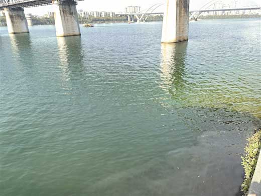 柳江铁桥东端水域 怎会有污水入江